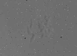 Fig. 2 Raw Mariner 9 image 07938353<