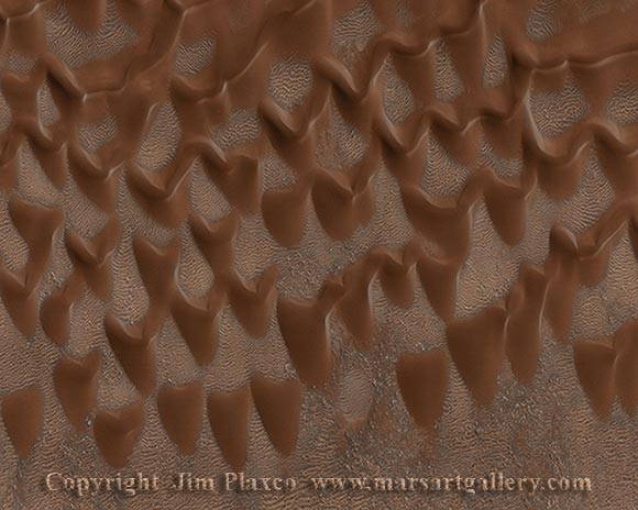 shark teeth. Martian Shark Teeth Dunes